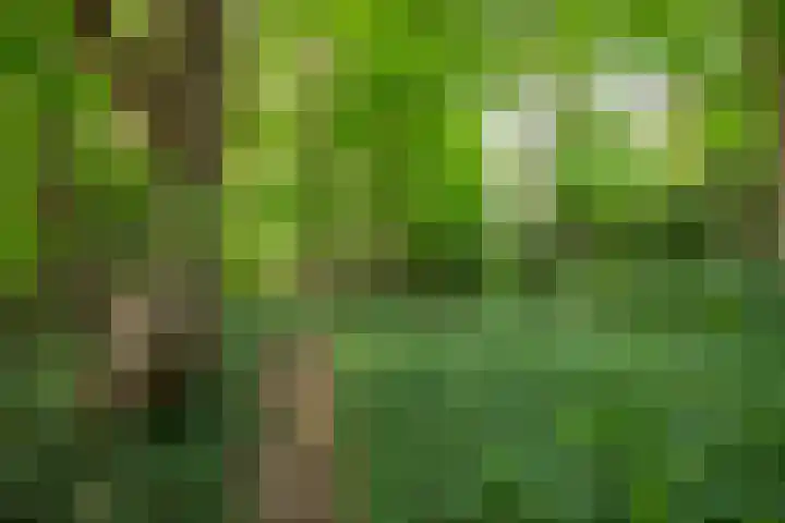 Kitskensdal 30 Roermond thumbnail 27