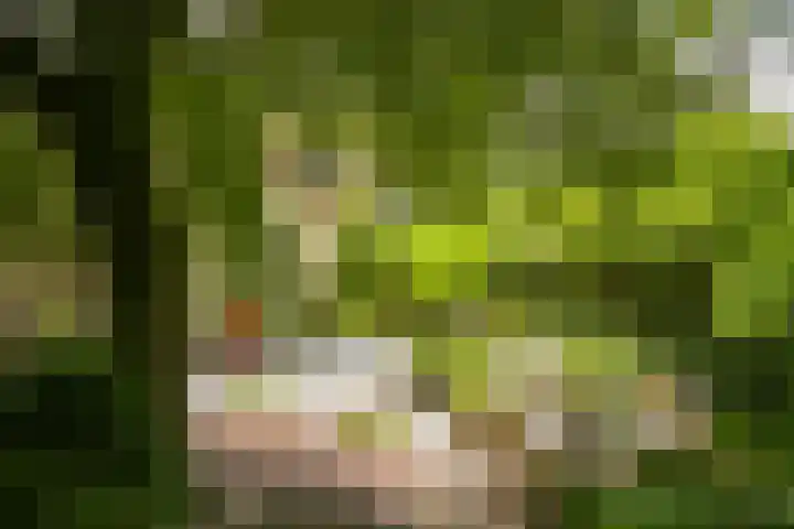 Kitskensdal 30 Roermond thumbnail 28