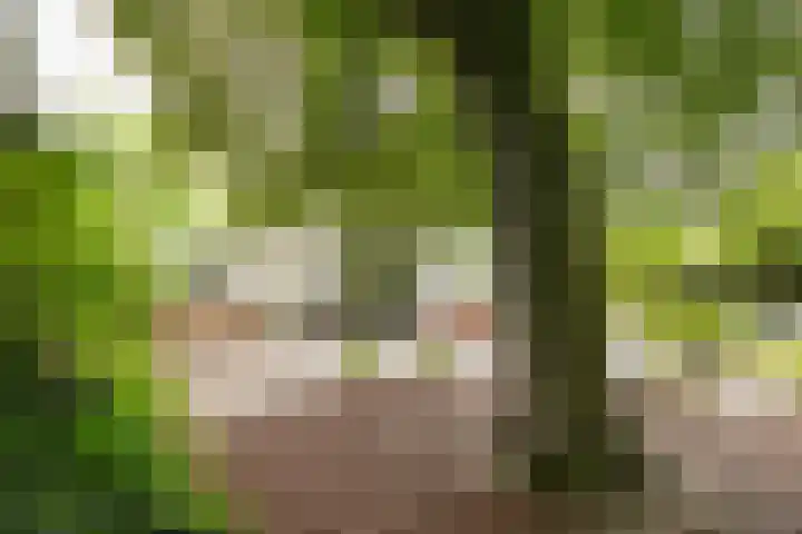 Kitskensdal 30 Roermond thumbnail 29
