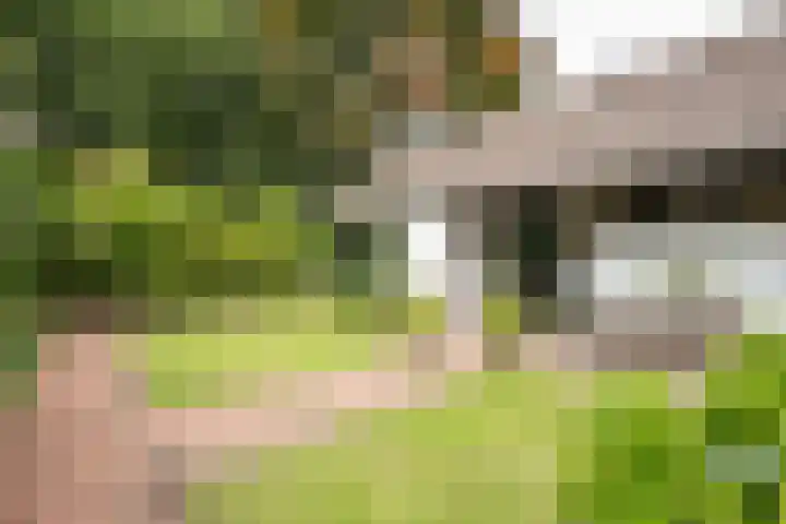 Kitskensdal 30 Roermond thumbnail 30