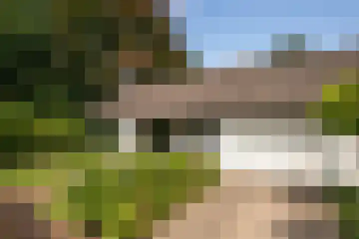 Kitskensdal 30 Roermond thumbnail 31