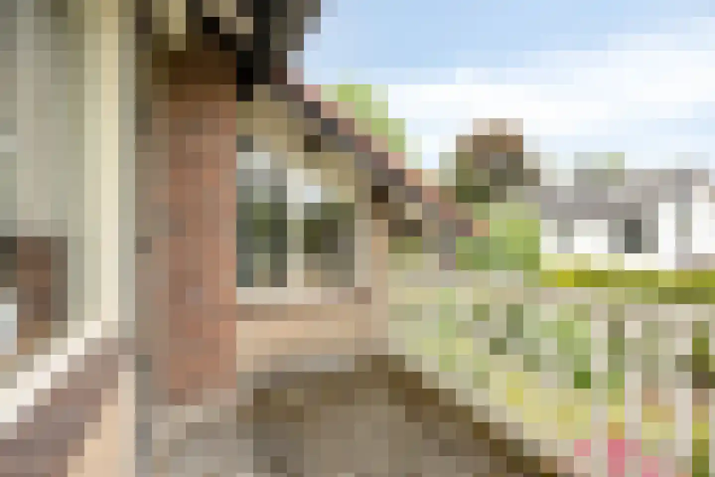 Kitskensdal 35 Roermond thumbnail 23