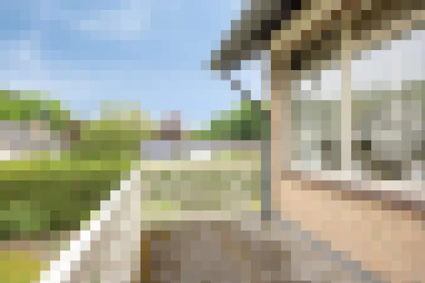 Kitskensdal 35 Roermond thumbnail 24