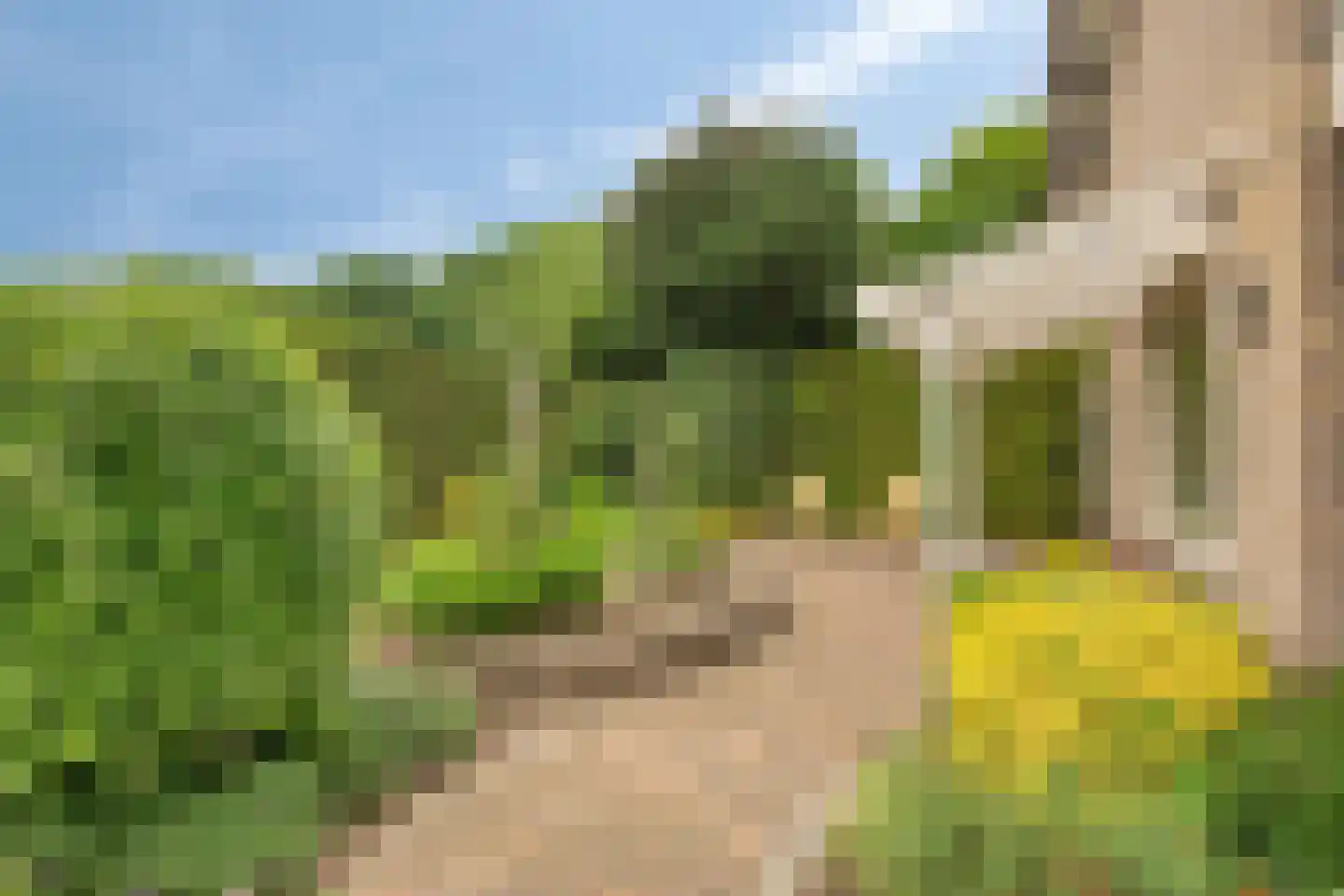 Kitskensdal 35 Roermond thumbnail 38