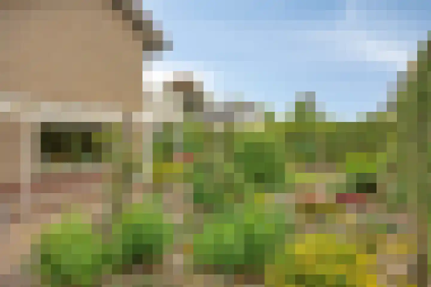 Kitskensdal 35 Roermond thumbnail 40