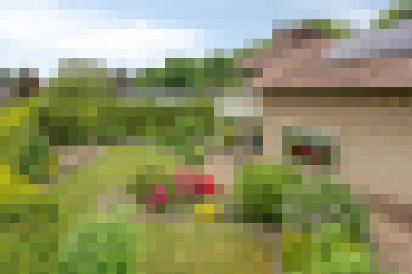 Kitskensdal 35 Roermond thumbnail 41