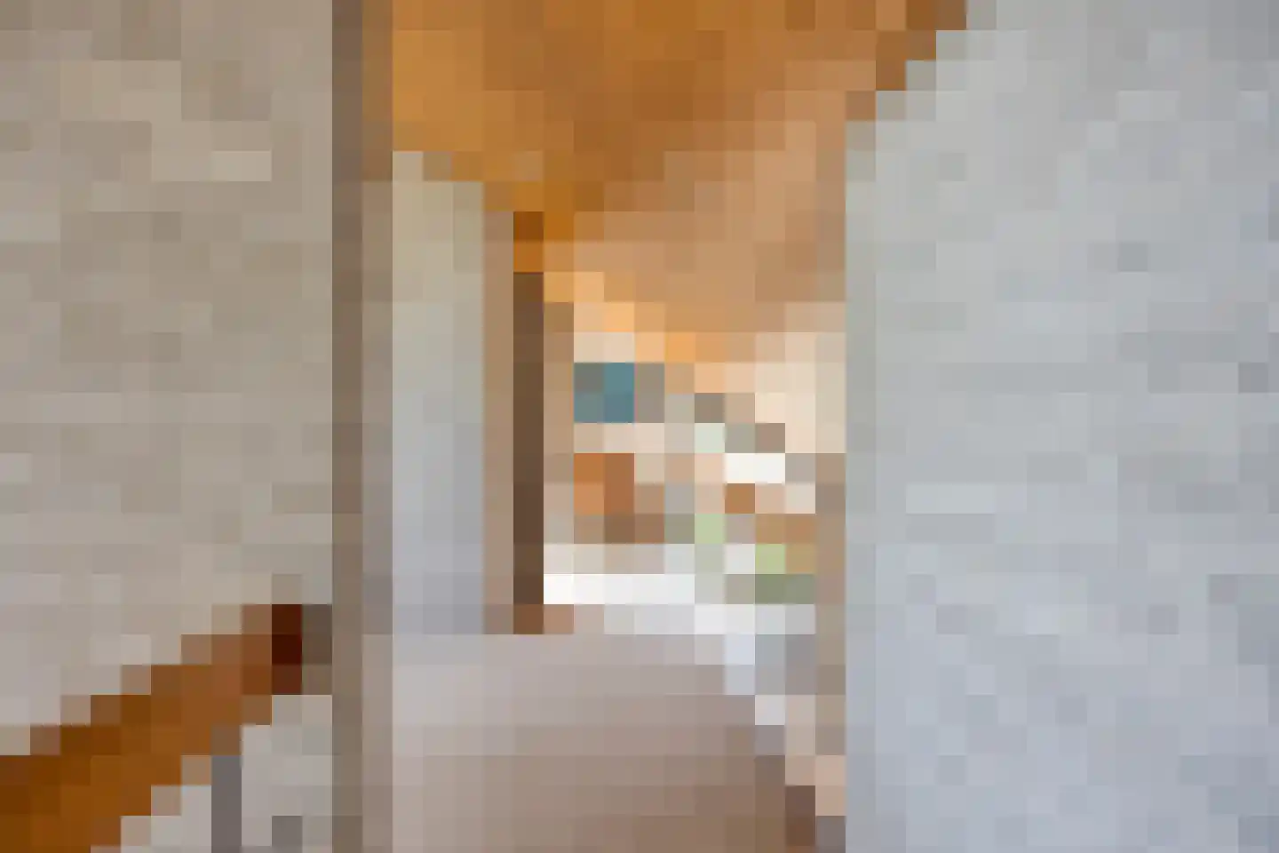 Kitskensdal 39 Roermond thumbnail 38