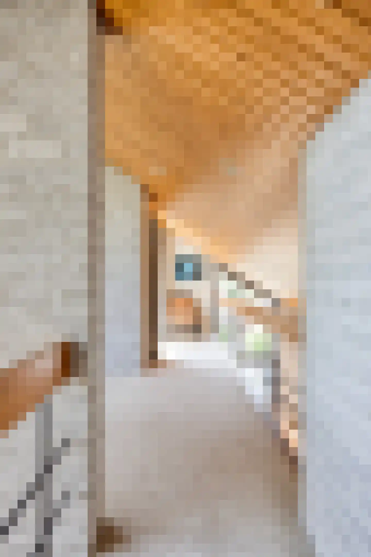 Kitskensdal 39 Roermond thumbnail 39