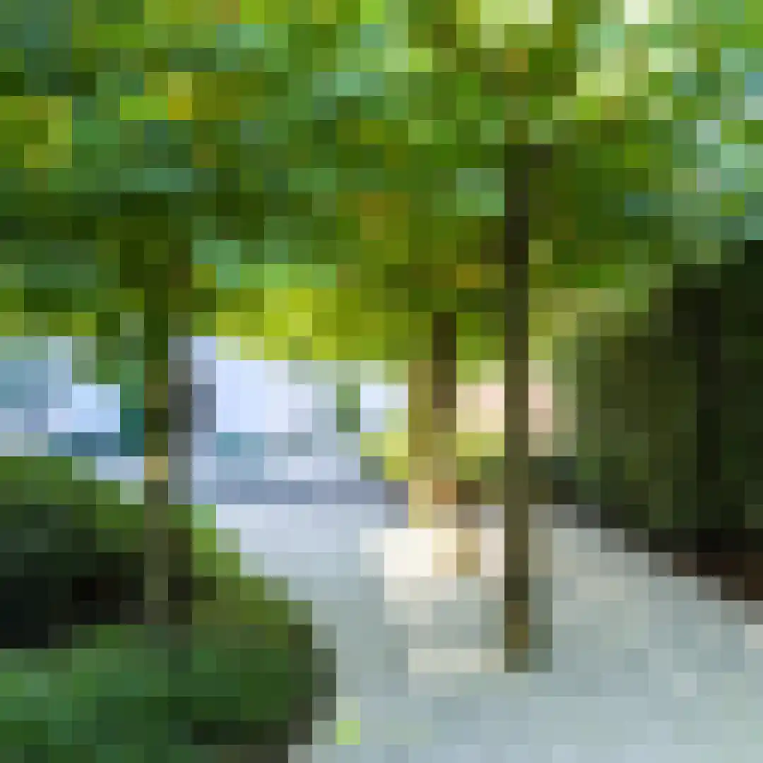 Kivitslaan 31 Oisterwijk thumbnail 28
