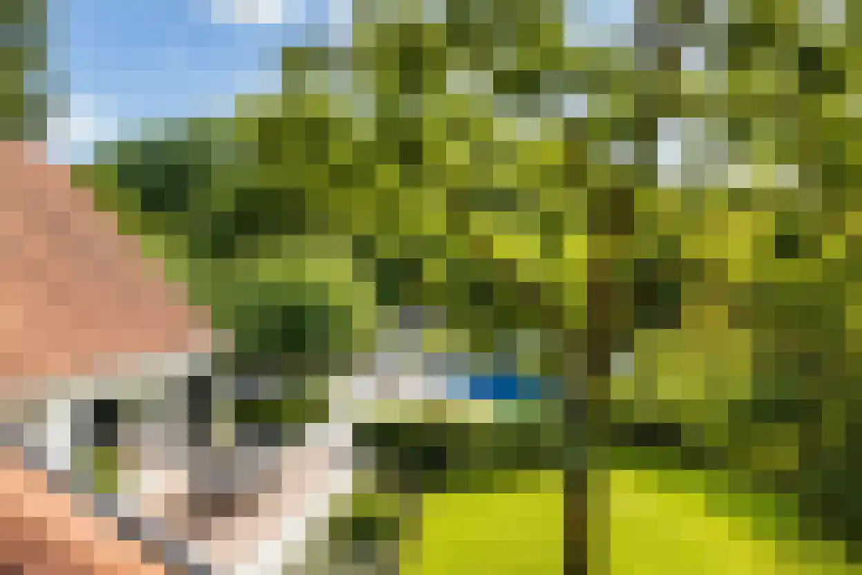 Kivitslaan 34 Oisterwijk thumbnail 23