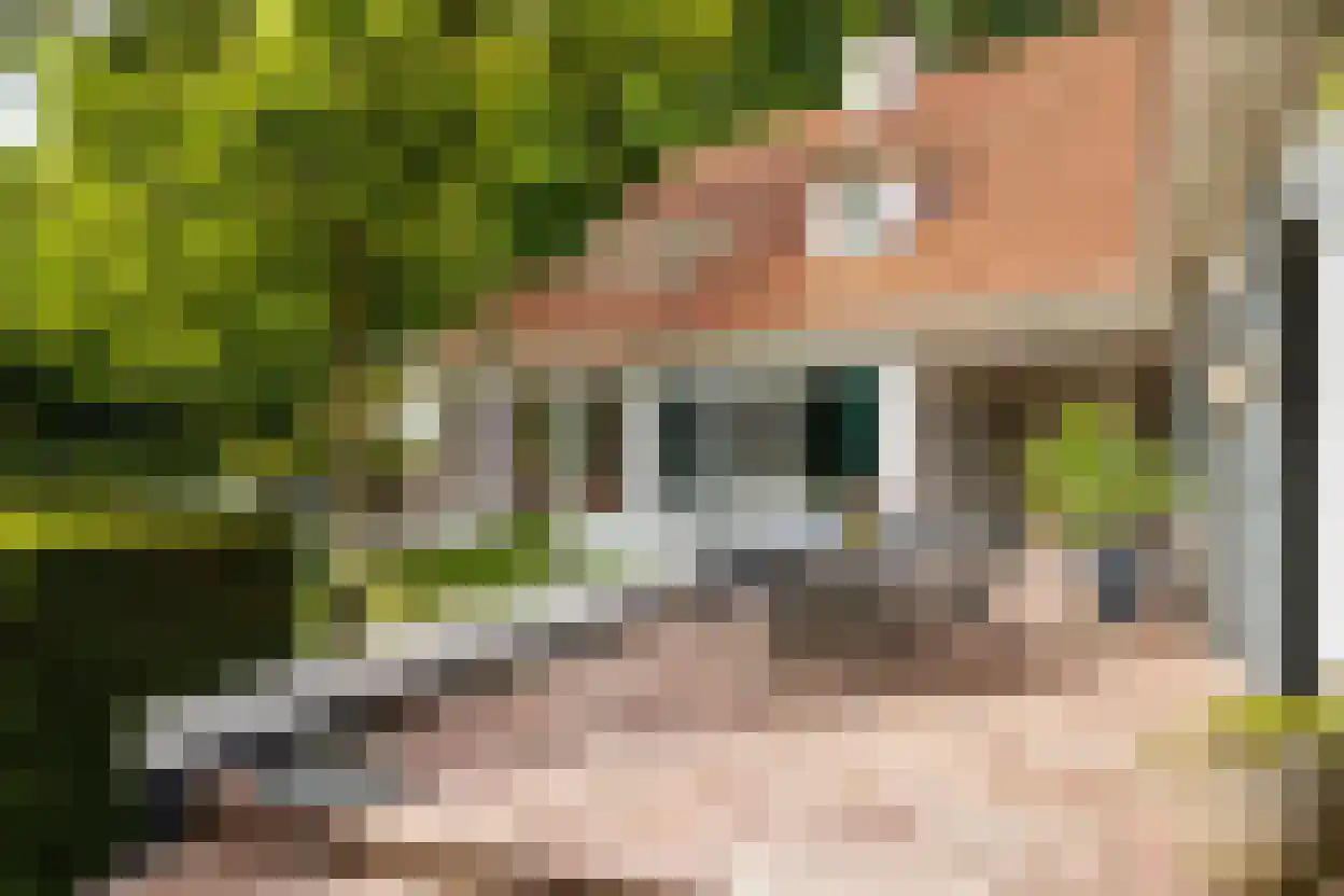 Kivitslaan 34 Oisterwijk thumbnail 26