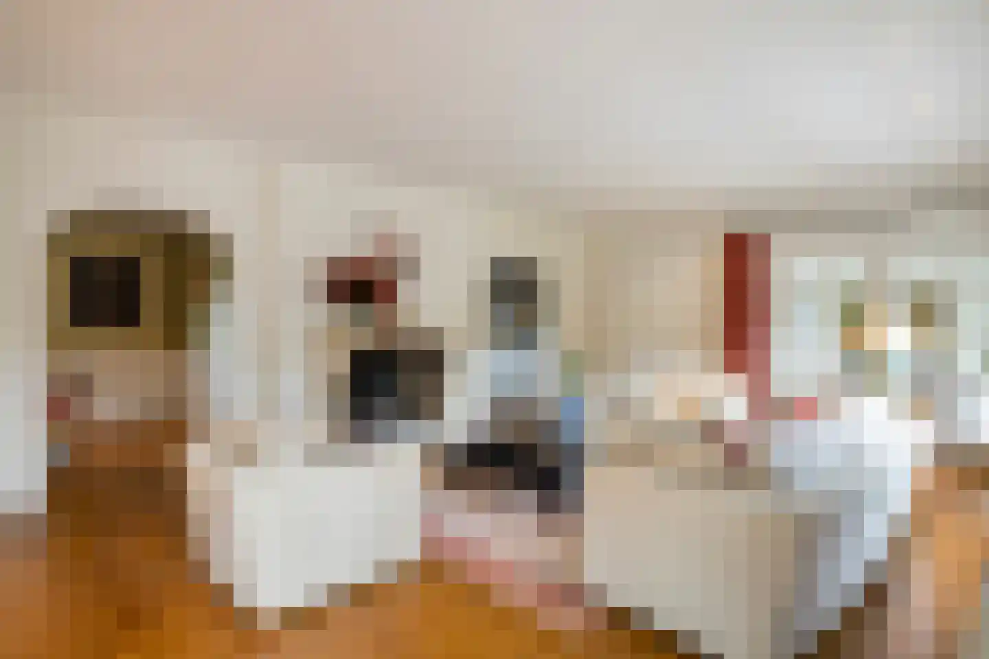 Kivitslaan 34 Oisterwijk thumbnail 6