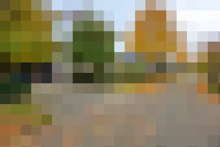 Kiwistraat 20 Almere thumbnail 7