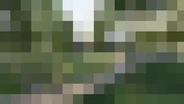KJ van den Akkerstrjitte 6 Berltsum thumbnail 5