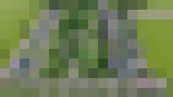 KJ van den Akkerstrjitte 6 Berltsum thumbnail 6