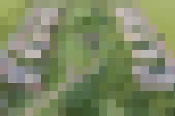 KJ van den Akkerstrjitte 6 Berltsum thumbnail 7