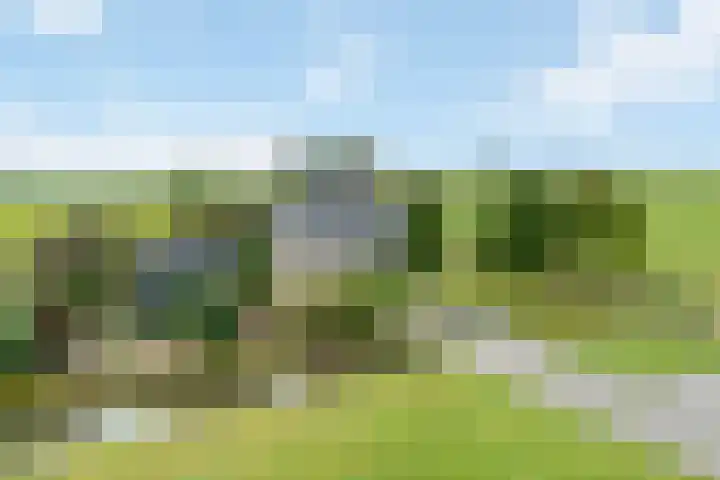 Klaarkampsterwei 4 Rinsumageast