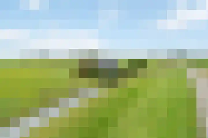 Klaarkampsterwei 4 Rinsumageast thumbnail 10