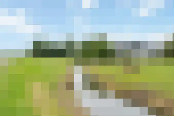 Klaarkampsterwei 4 Rinsumageast thumbnail 11