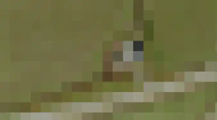 Klaarkampsterwei 4 Rinsumageast thumbnail 12