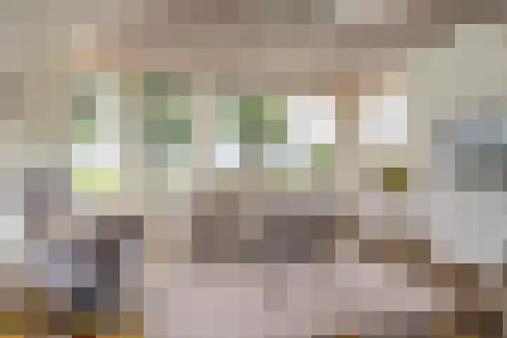 Klaarkampsterwei 4 Rinsumageast thumbnail 13