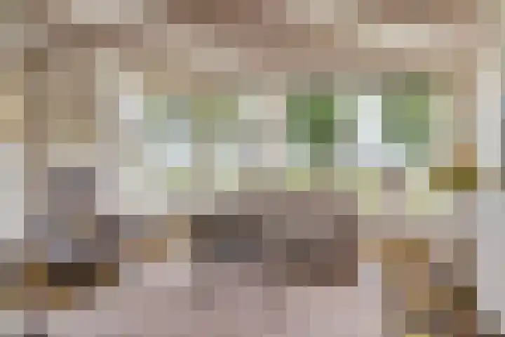 Klaarkampsterwei 4 Rinsumageast thumbnail 14