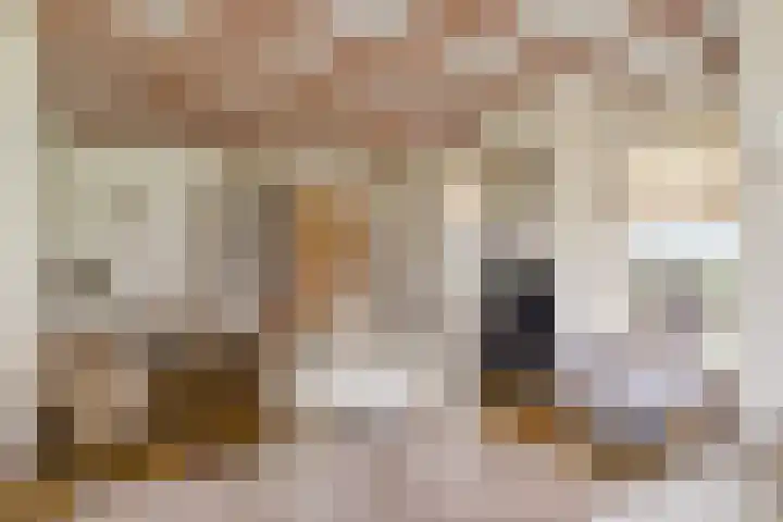 Klaarkampsterwei 4 Rinsumageast thumbnail 15