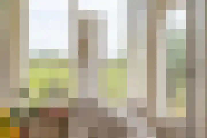 Klaarkampsterwei 4 Rinsumageast thumbnail 16