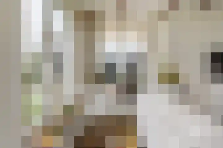 Klaarkampsterwei 4 Rinsumageast thumbnail 17