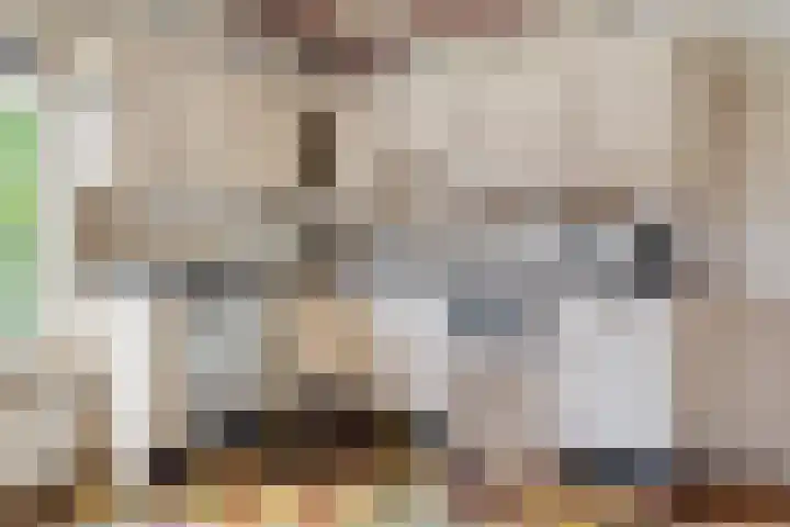 Klaarkampsterwei 4 Rinsumageast thumbnail 22