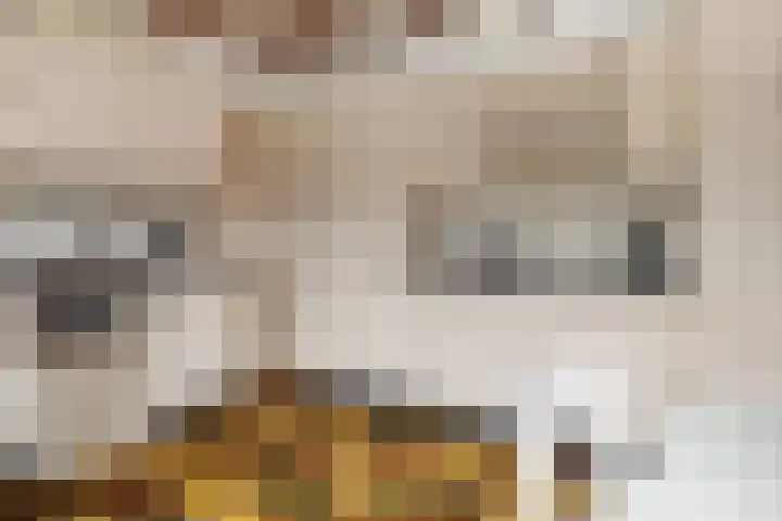 Klaarkampsterwei 4 Rinsumageast thumbnail 24