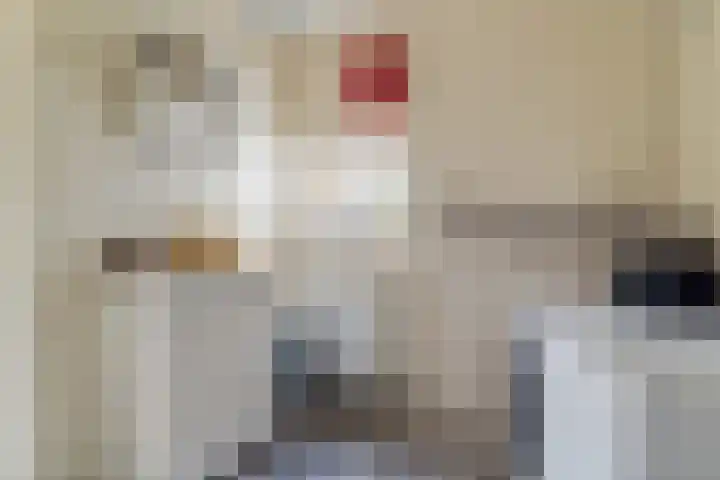 Klaarkampsterwei 4 Rinsumageast thumbnail 26