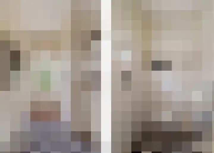 Klaarkampsterwei 4 Rinsumageast thumbnail 27