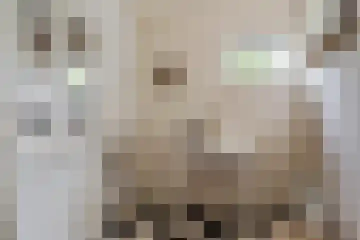 Klaarkampsterwei 4 Rinsumageast thumbnail 31