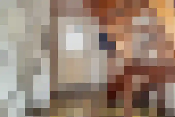 Klaarkampsterwei 4 Rinsumageast thumbnail 34