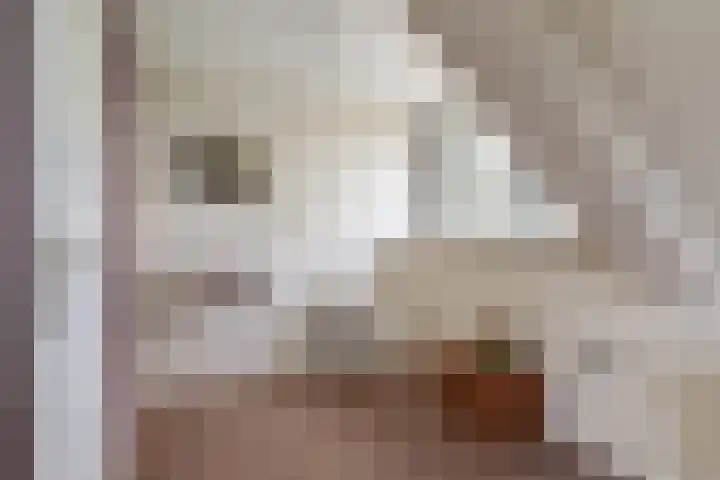 Klaarkampsterwei 4 Rinsumageast thumbnail 37