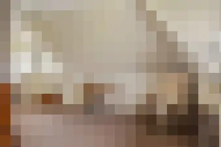 Klaarkampsterwei 4 Rinsumageast thumbnail 39