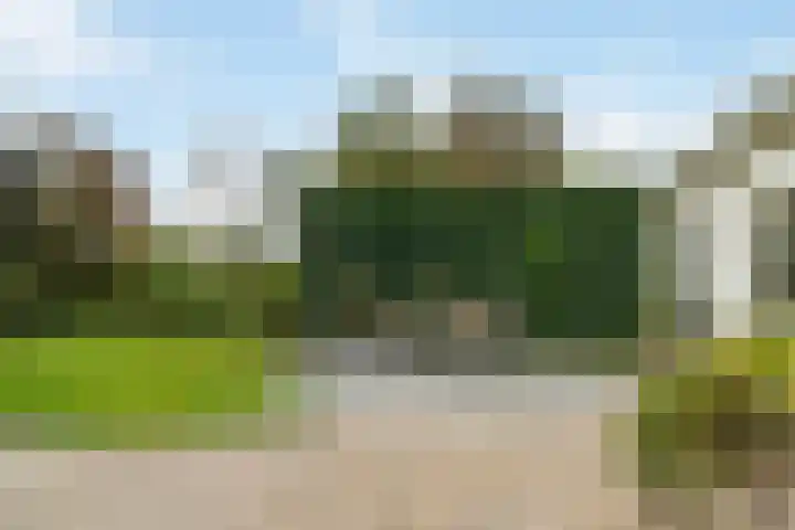 Klaarkampsterwei 4 Rinsumageast thumbnail 43