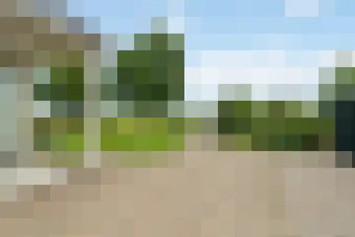 Klaarkampsterwei 4 Rinsumageast thumbnail 45
