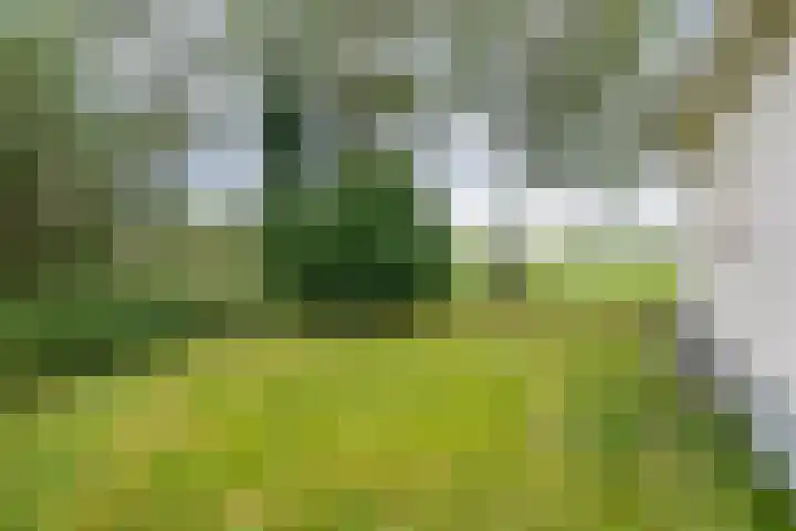 Klaarkampsterwei 4 Rinsumageast thumbnail 47
