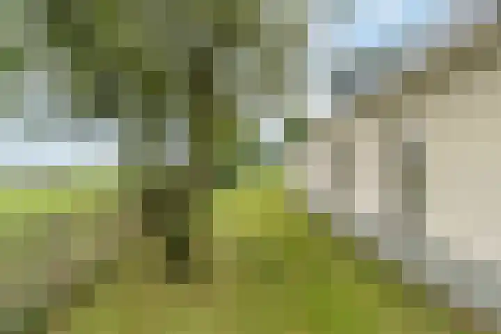 Klaarkampsterwei 4 Rinsumageast thumbnail 48