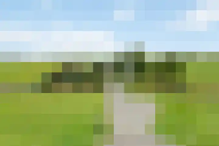 Klaarkampsterwei 4 Rinsumageast thumbnail 5