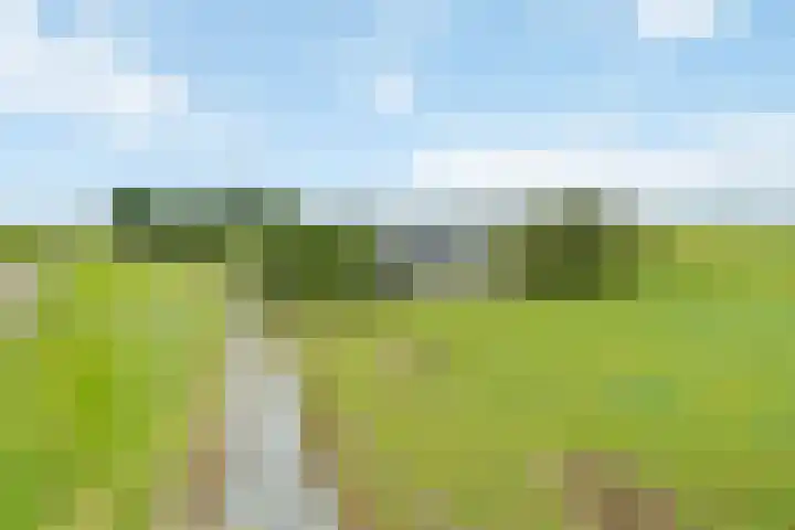 Klaarkampsterwei 4 Rinsumageast thumbnail 51