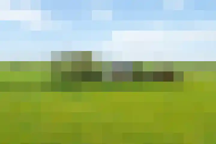 Klaarkampsterwei 4 Rinsumageast thumbnail 52