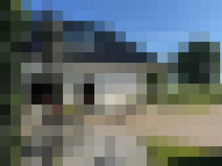 Klaarkampsterwei 4 Rinsumageast thumbnail 53