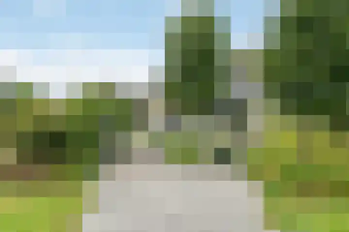 Klaarkampsterwei 4 Rinsumageast thumbnail 6