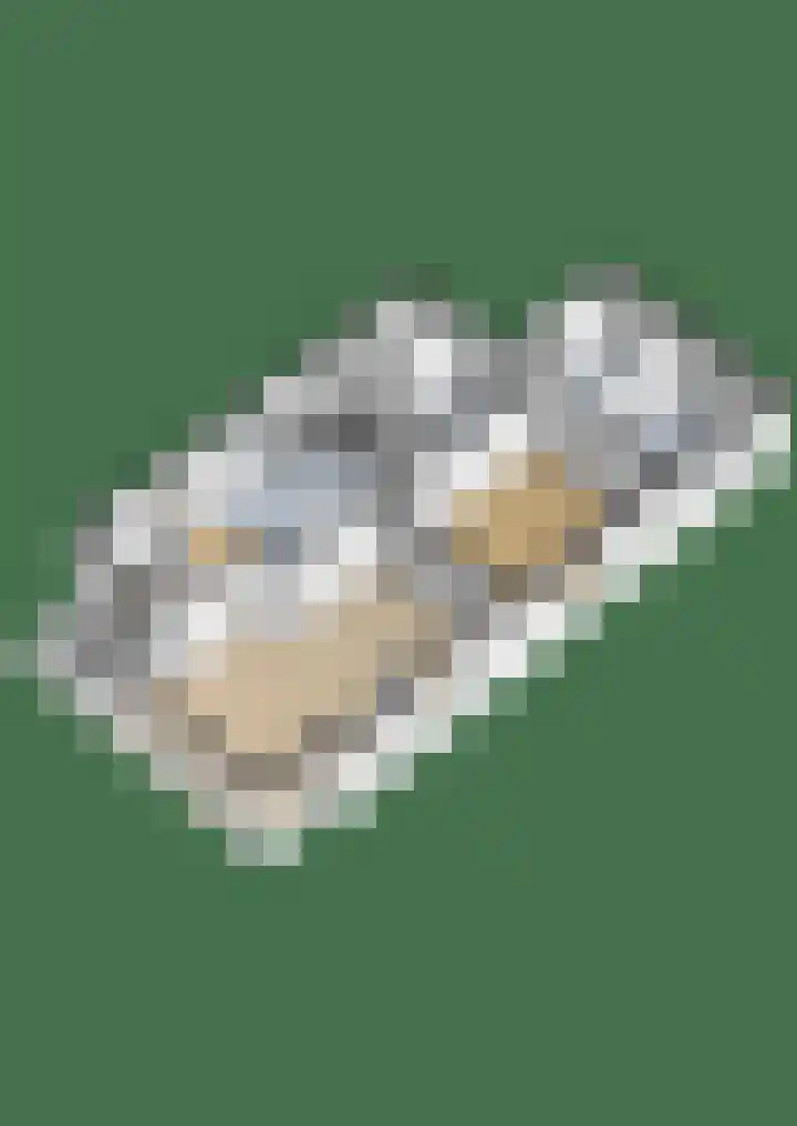 Klaarkampsterwei 4 Rinsumageast thumbnail 65