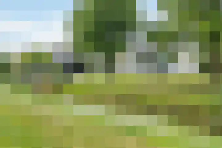 Klaarkampsterwei 4 Rinsumageast thumbnail 7