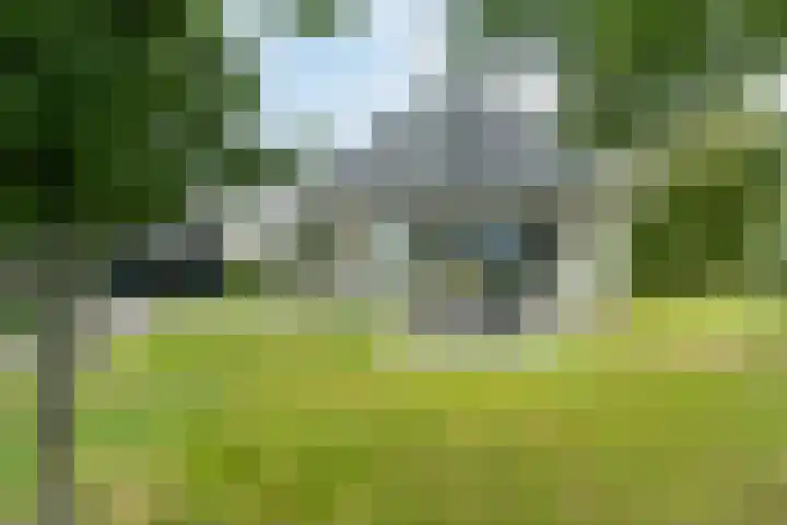 Klaarkampsterwei 4 Rinsumageast thumbnail 9