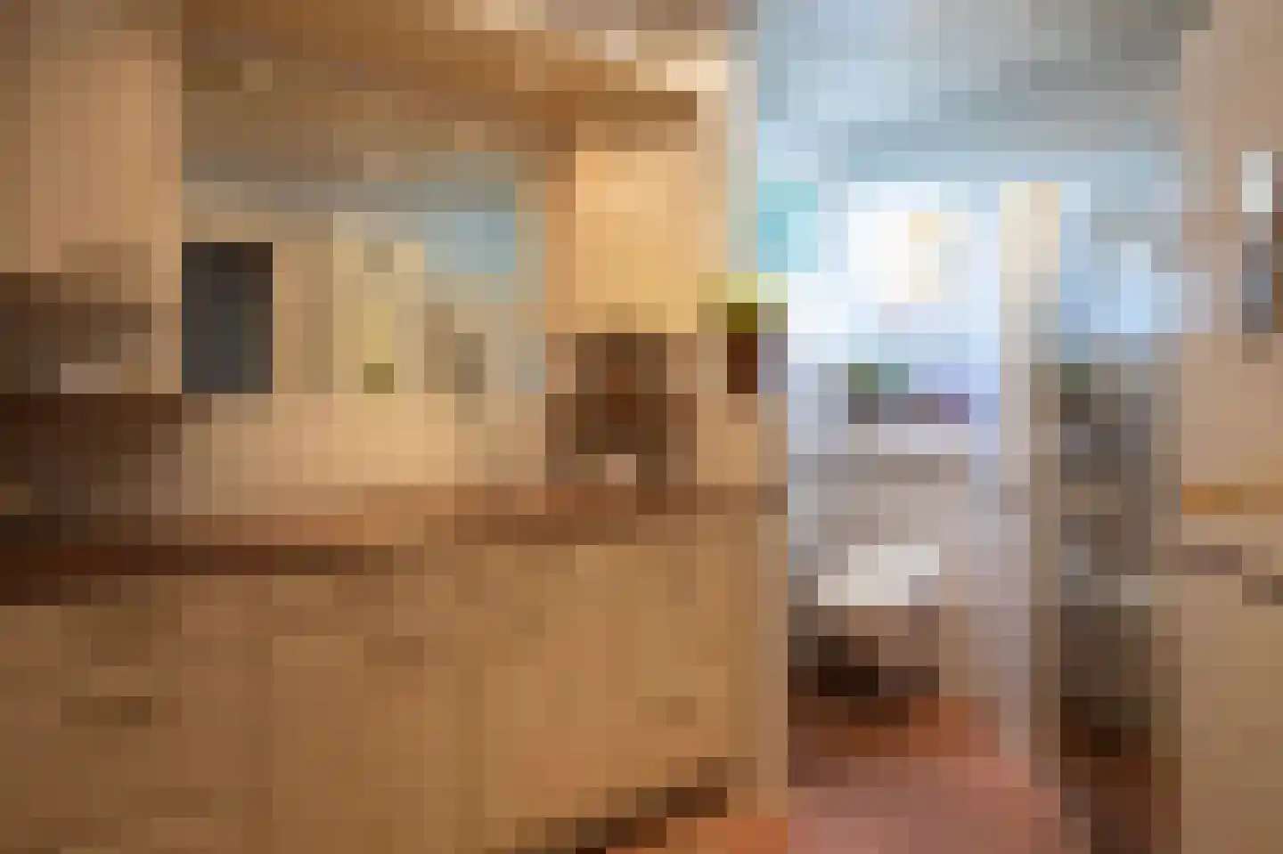 Klaarwaterboslaan 16 Putten thumbnail 18
